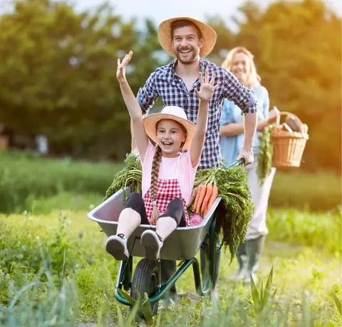 Zabezpečenípříjmů